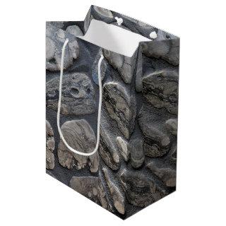 Michigan Petoskey Stones Medium Gift Bag