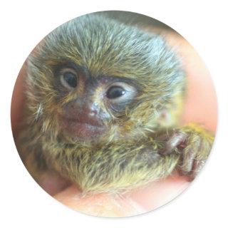 Mico Sticker