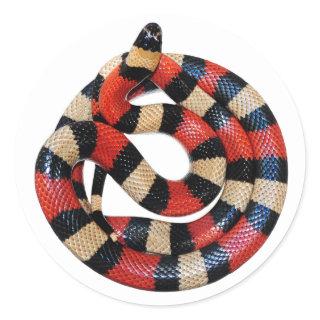 Milk snake classic round sticker