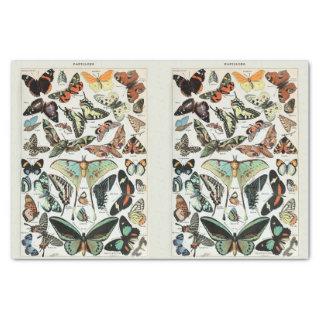 Millot, Butterflies & Moths, Decoupage Tissue Paper