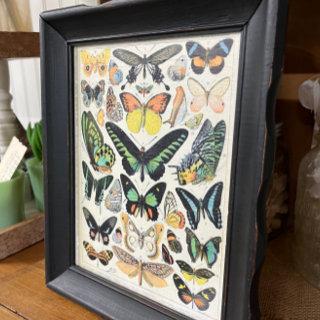 Millot Illustrations, Butterflies, Decoupage Tissue Paper