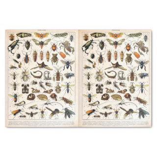 Millot Illustrations - Insects, Decoupage Tissue Paper