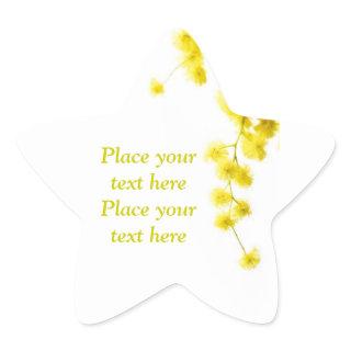 Mimosa Star Sticker