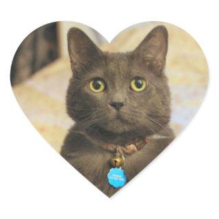 Mims Heart Sticker
