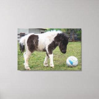 Mini Pony Playing Ball Stretched Canvas Print