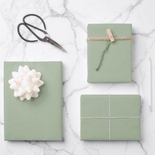 Minimalist Laurel Green solid plain elegant gift  Sheets