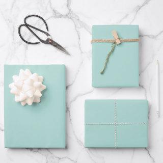 Minimalist seafoam mint green solid plain gift  sheets