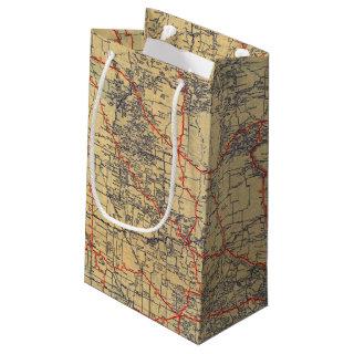 Minnesota standard map small gift bag