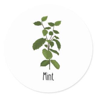 Mint Spices Herb Classic Round Sticker