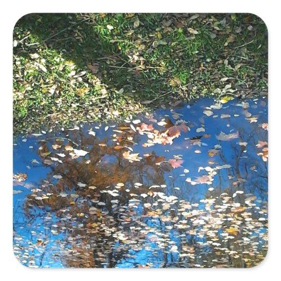 Miroir Mirror Autumn Thanksgiving Sticker