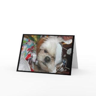 "Missing You This Christmas" Card With Shih tzu