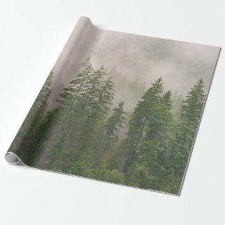 Misty Foggy Forest Trees