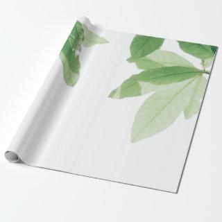 modern leaf pattern