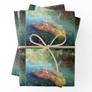 Momma and Baby Manatee - All Occasion  Sheets