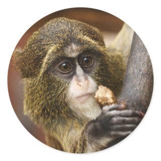 Monkey Classic Round Sticker