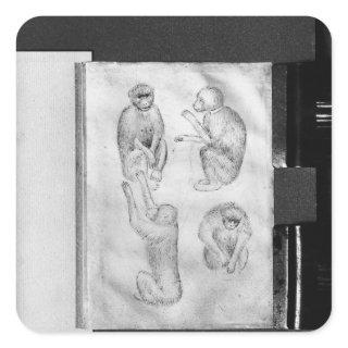 Monkeys, from The Vallardi Album Square Sticker