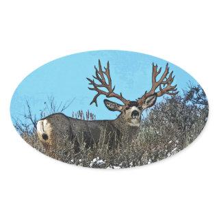 Monster mule deer buck oval sticker