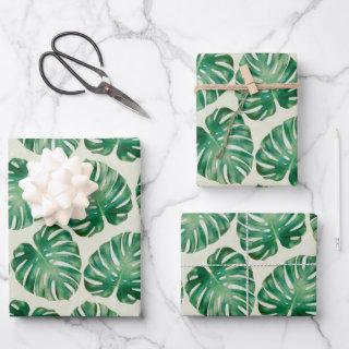 Monstera Leaves Pattern  Sheets