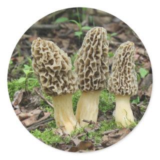 More Morels Classic Round Sticker