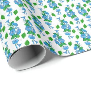 Morning Glories