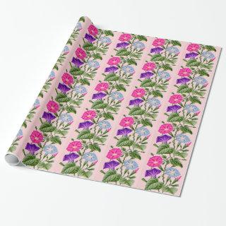 morning glory in blue and pink