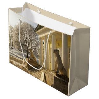 Moscow. Winter. lion sculpture. Large Gift Bag