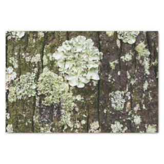 Mossy Oak Trunk Tissue Paper