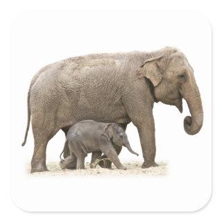 Mother and Baby Elephant Square Sticker