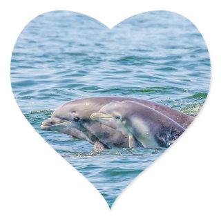 Mother's Love Dolphin & Baby Stickers