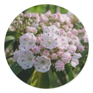 Mountain Laurel Wildflower Sticker