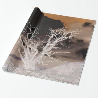 MOUNTAIN WINTER