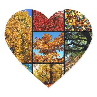 Multiple photos of autumn foliage heart sticker