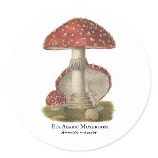 Mushroom Red Magic Vintage Print Classic Round Sticker