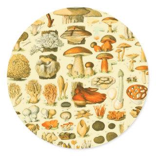 Mushroom Vintage Toadstool Antique Illustration Classic Round Sticker