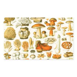 Mushroom Vintage Toadstool Antique Illustration Rectangular Sticker