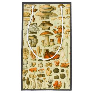 Mushroom Vintage Toadstool Antique Illustration Small Gift Bag