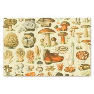 Mushroom Vintage Toadstool Antique Illustration Tissue Paper