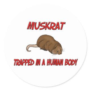 Muskrat trapped in a human body classic round sticker