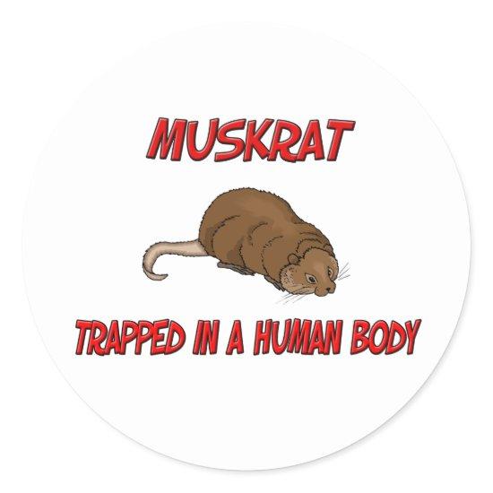 Muskrat trapped in a human body classic round sticker