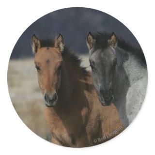 Mustang Foal Headshot Classic Round Sticker