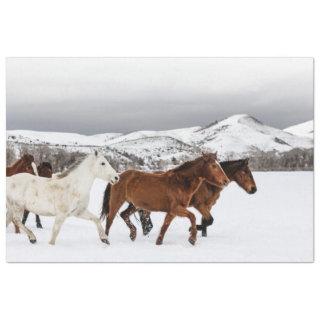 MUSTANGS IN THE MOUNTAINS TISSUE PAPER