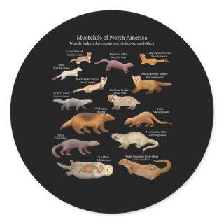 Mustelids Of North America Weasels Otters And Othe Classic Round Sticker