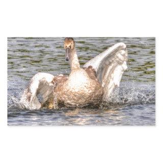 Mute Swan Wildlife Waterfowl Photo Rectangular Sticker