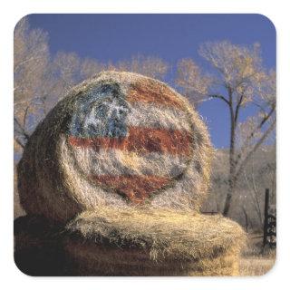 NA, USA, Colorado, Gunnison. Patriotic hay roll Square Sticker