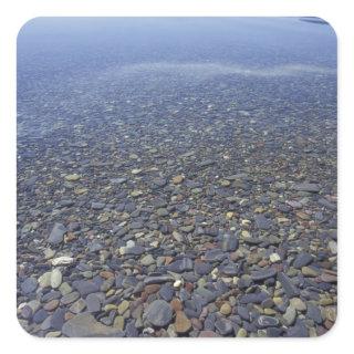 NA, USA, Montana, Glacier NP Rocks in Lake Square Sticker