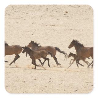 Namibia, Aus. Group of running wild horses on Square Sticker