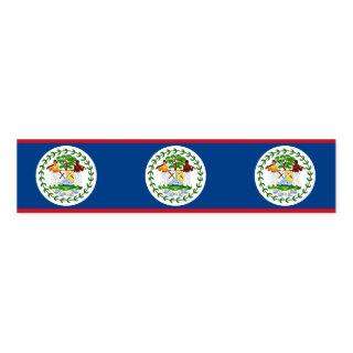 Napkin Band with flag of Belize