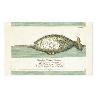 Narwhal Antique Whale Watercolor Painting Rectangular Sticker