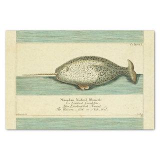Narwhal Antique Whale Watercolor Painting Tissue Paper