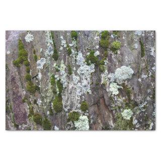 Nature Moss Lichen Camouflage Photo Tissue Paper